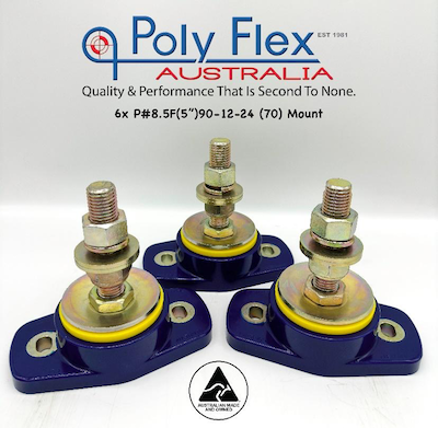 https://www.polyflex.com.au/wp-content/uploads/2023/06/Polyflex-Rubber-Mounts.png